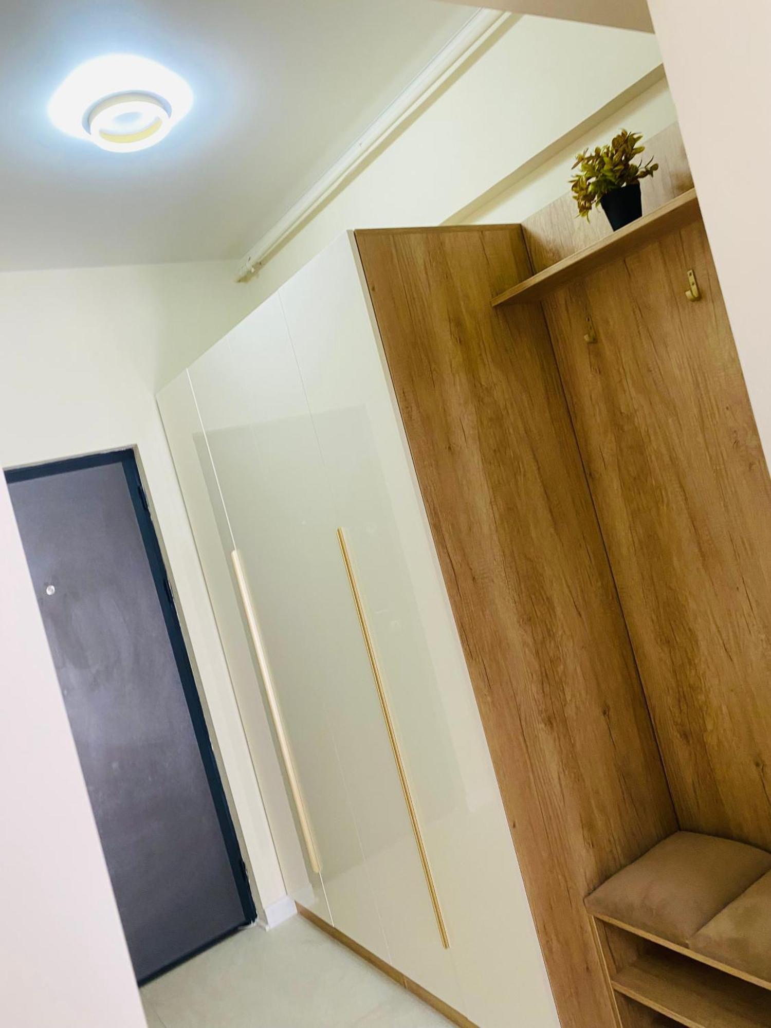 إيفوري نورد Coral Studio المظهر الخارجي الصورة