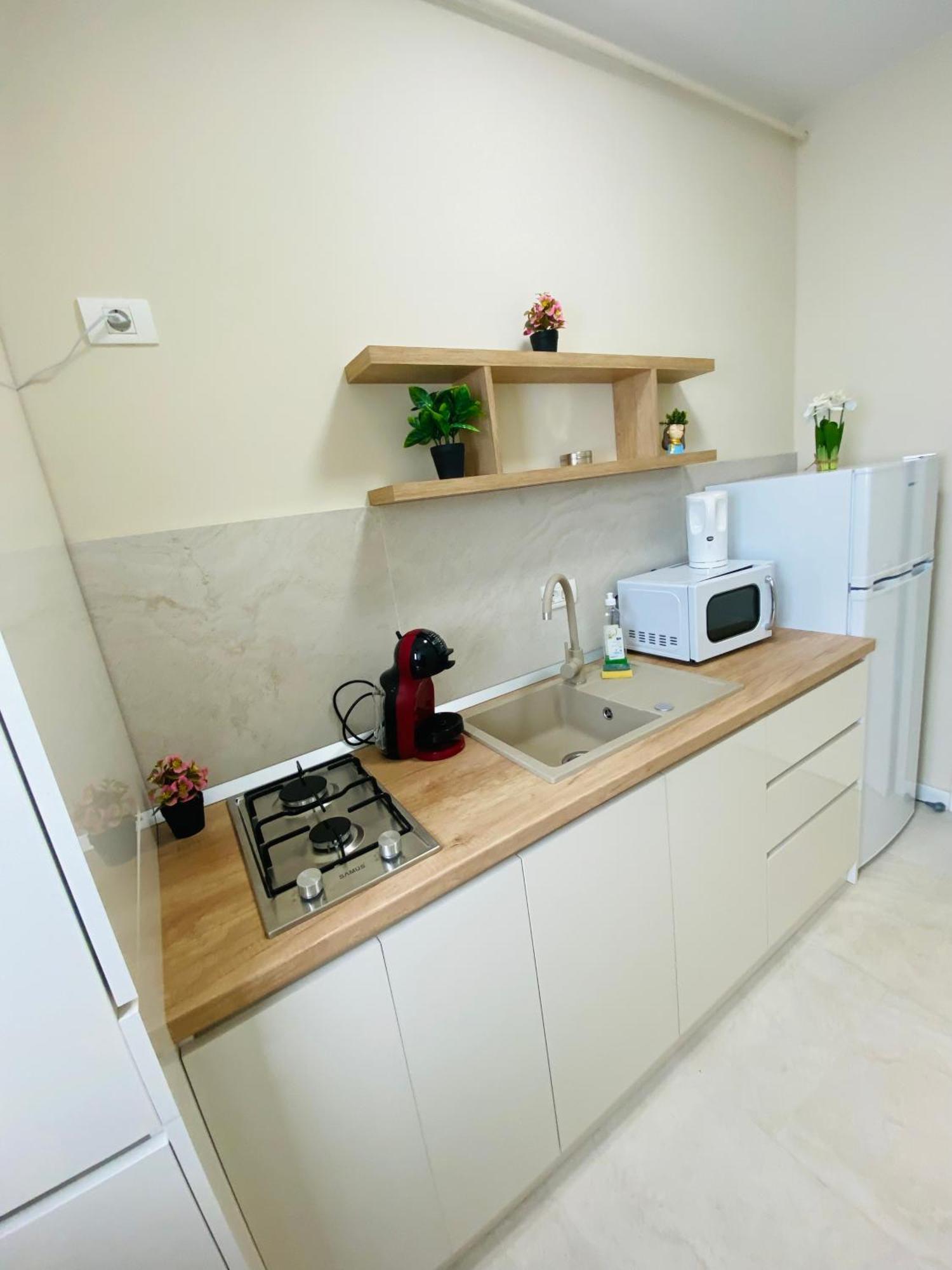 إيفوري نورد Coral Studio المظهر الخارجي الصورة